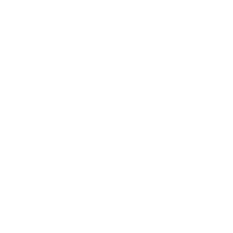 Vivvi Logo